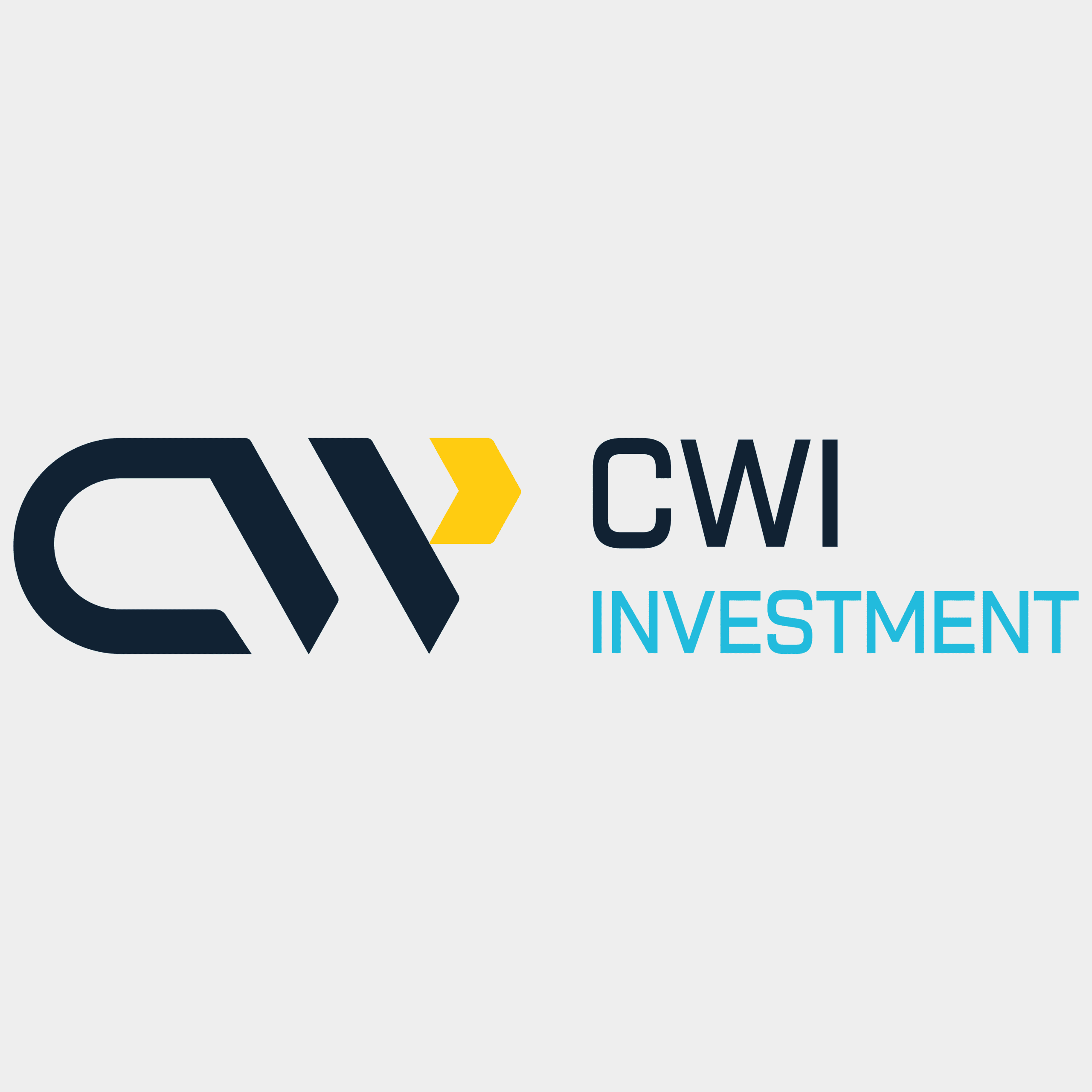 Cwi Webpay Case Studies - CWI Investment
